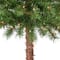 Puleo International; 5ft. Pre-Lit Green Artificial Palm Tree with 150 Multi-Color Lights; Category:Shop All Christmas Trees; Image:5